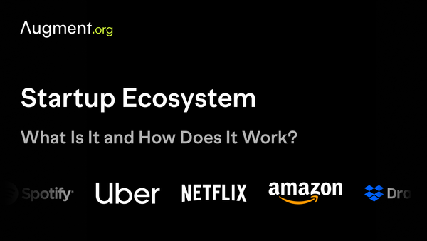 Startup Ecosystem: What Is It and How Does It Work?